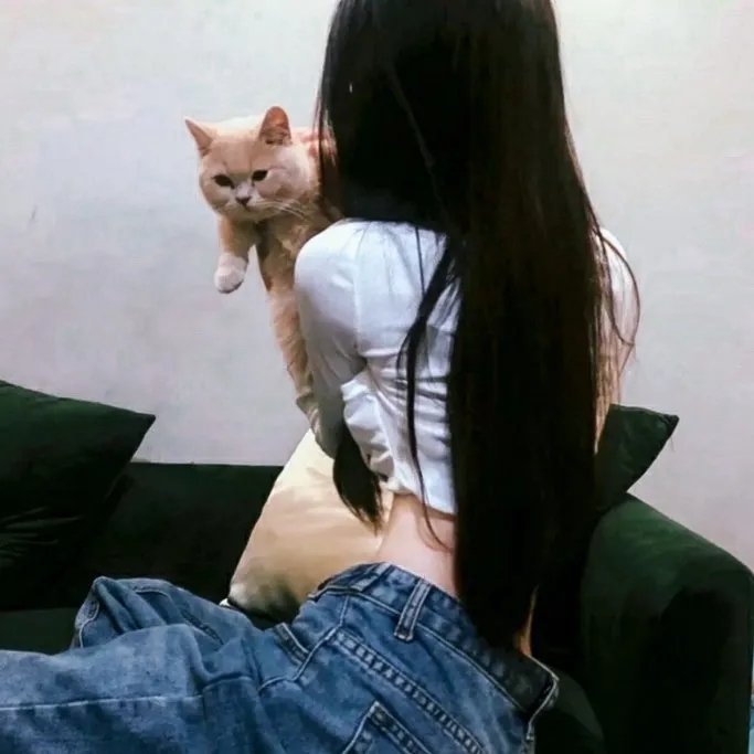 金钱孽